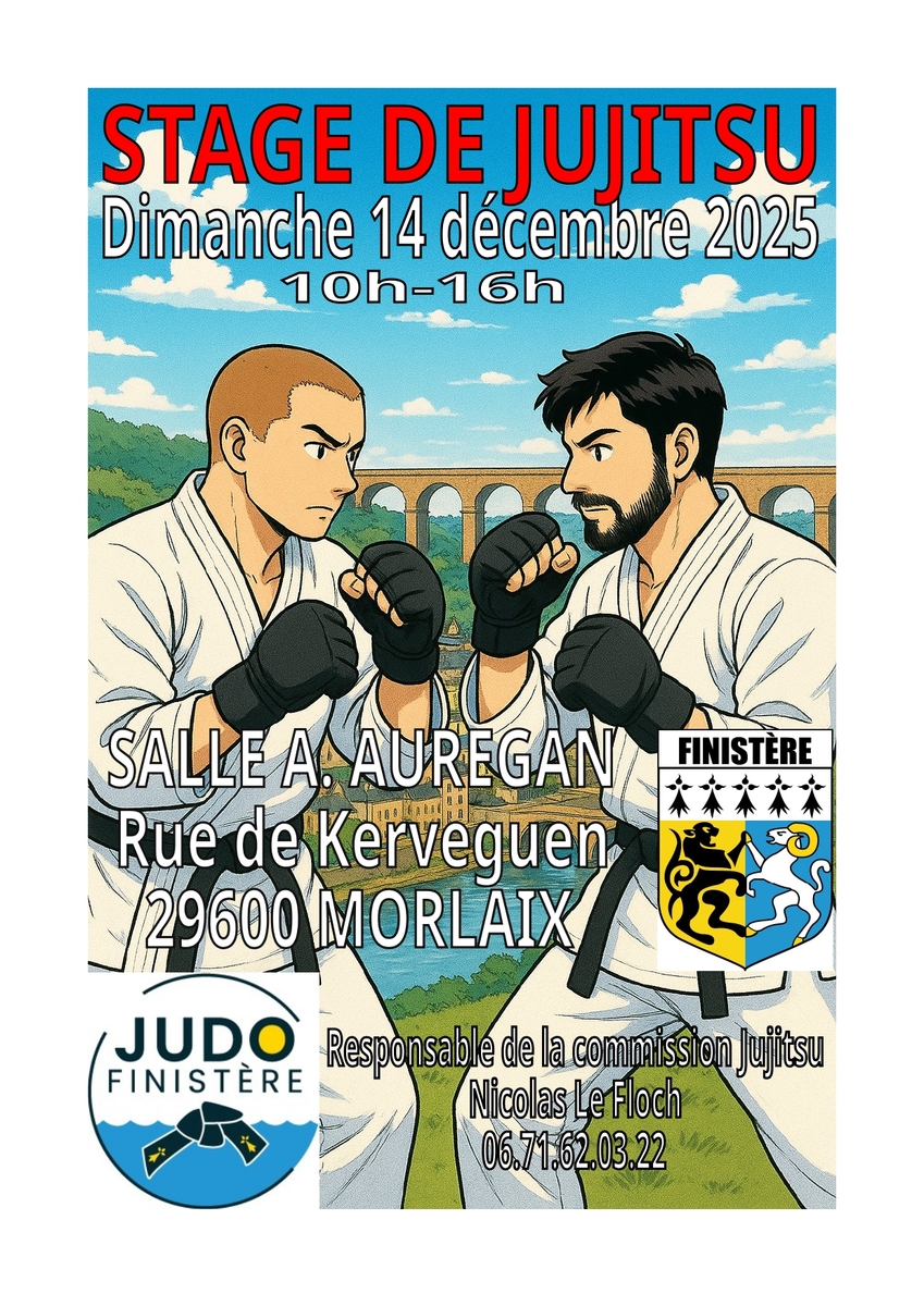 Stage départemental de jujitsu