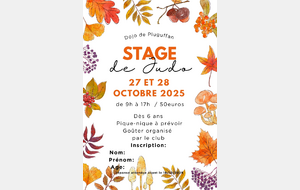 Stage de Judo