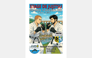 Stage départemental de jujitsu